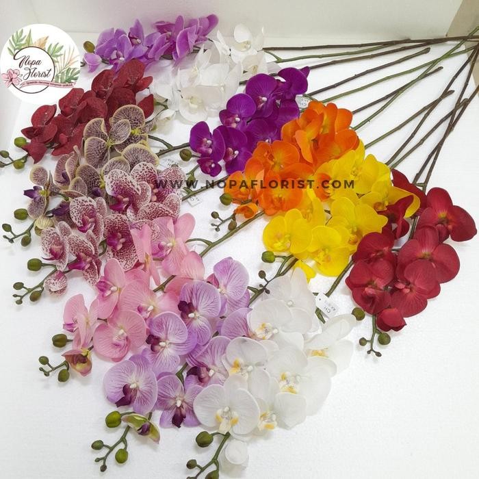 Termurah- Bunga Anggrek Latex Import Jumbo / Anggrek Bulan Jumbo Latex Premium Grade A