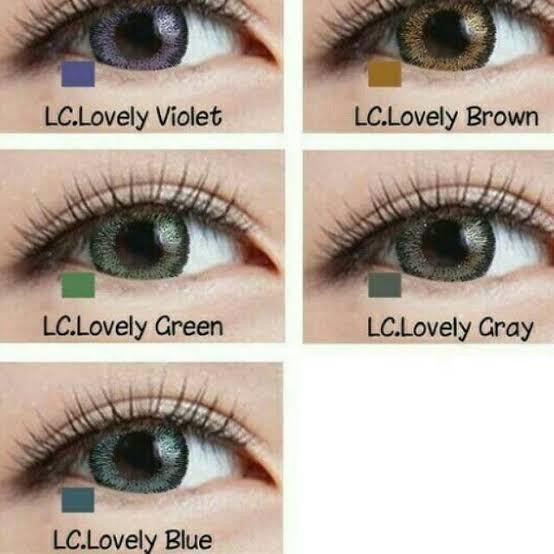 FAVORITE SOFTLENS LIVING COLOR LOVELY 14.4mm