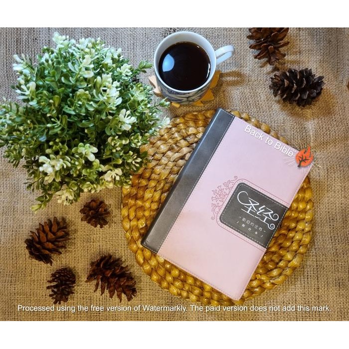 Alkitab Mandarin Simplified Pink Soft Cover/Holy Bible