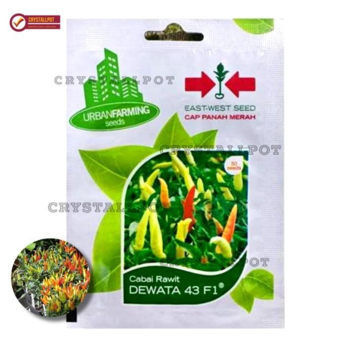 JTTOP" BENIH BIBIT CABAI RAWIT DEWATA 43 F1 CAP PANAH MERAH - CABAI DEWATA F1