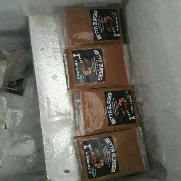 BETTA BURGER PAKAN MAKANAN IKAN CUPANG BURAYAK MIRIP CACING BEKU CABEK