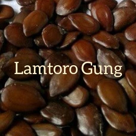 Terlaris Lamtoro Gung 1 Kg
