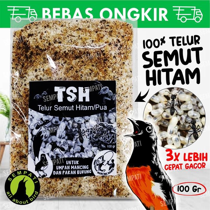SEMPATI TSH Telur Semut Hitam Pakan Burung Serbuk Telur Pua Poa Pengganti Kroto Pakan Makanan Burung