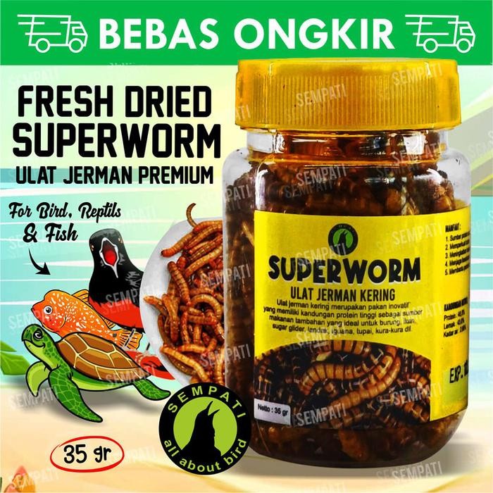 SEMPATI Superworm Super Worm Botol Toples Ulat Jerman Kering Pakan Extra Fooding EF Burung Murai