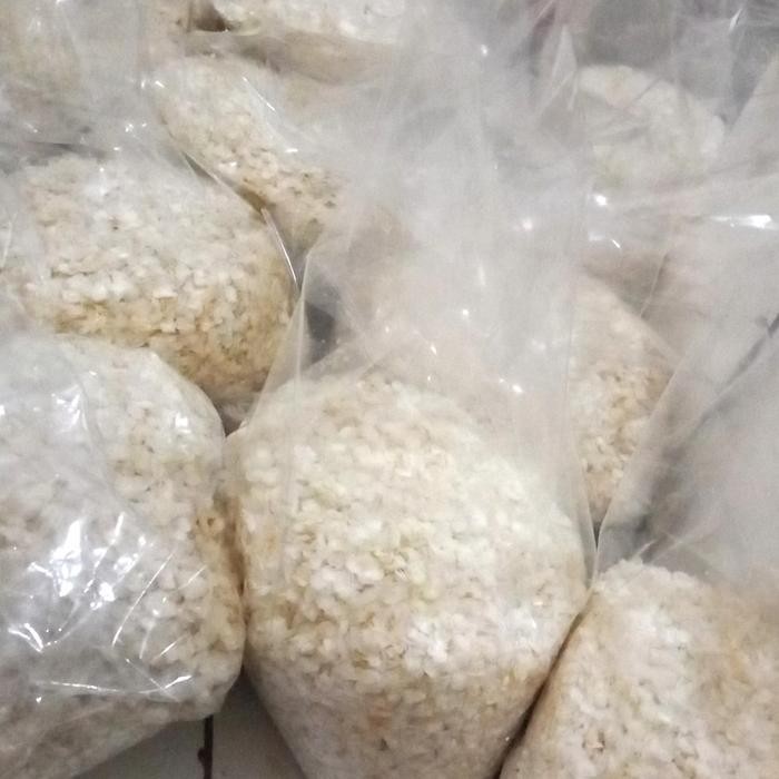 

sisik ikan kakap merah 500 gr