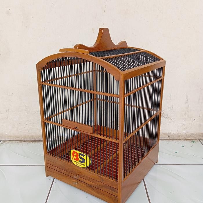 sangkar jati penjinakan wambi