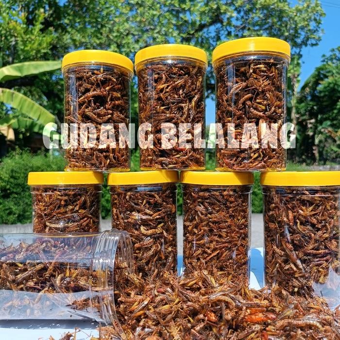 

BELALANG GORENG kecil WALANG GORENG UTIS (PADI) KEMASAN TOPLES SOSIS BERAT 210 GRAM 4 Varian rasa
