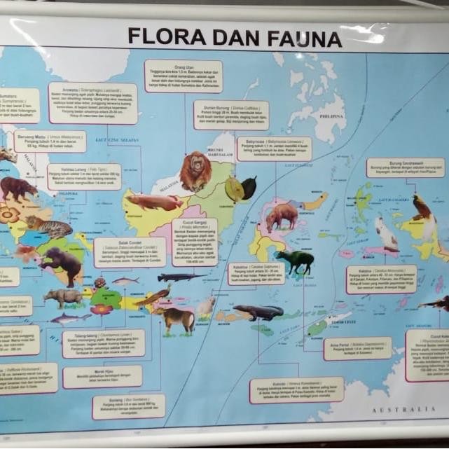 

Ready Peta Flora dan Fauna di Indonesia