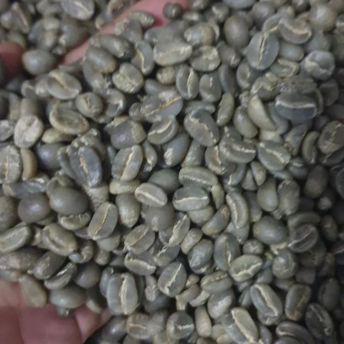 (Allthebest) green Bean Arabika Semeru/biji kopi Dampit/green Bean