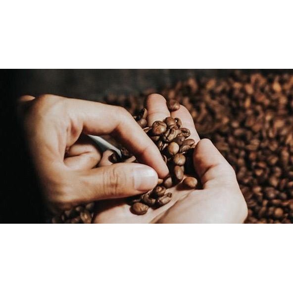 

ESPRESSO BLEND (ADDITIONAL)+KOPIAPICOFFEE+ADDITIONAL 500GR BIJI/BUBUK