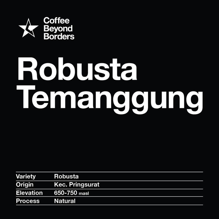 

ROBUSTA GREEN BEANS - ROBUSTA TEMANGGUNG