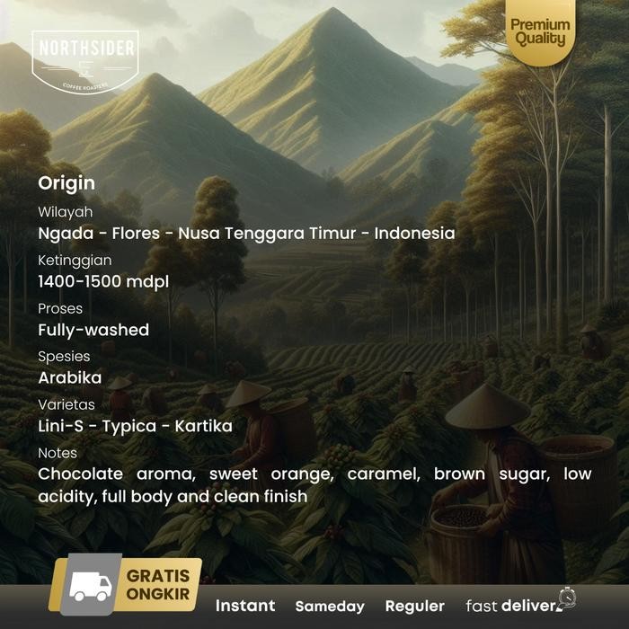 

NORTHSIDER KOPI ARABIKA FLORES BAJAWA FULLY-WASHED COFFEE