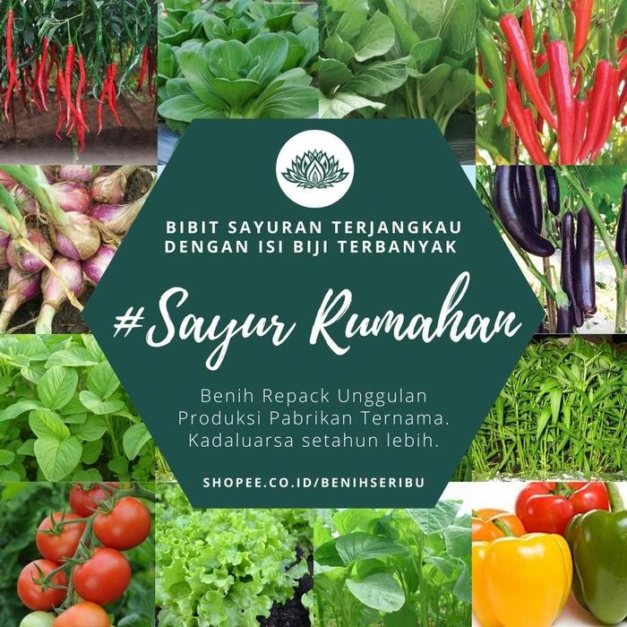 TERBANYAK Bibit Sayuran Benih Sayur Paket Lengkap Tanaman Hidroponik