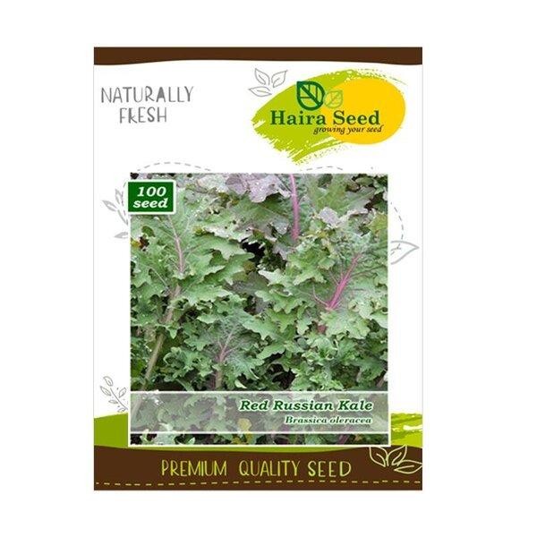 Benih Bibit Biji Sayur Sayuran Kale Merah Red Russian Hidroponik Seed