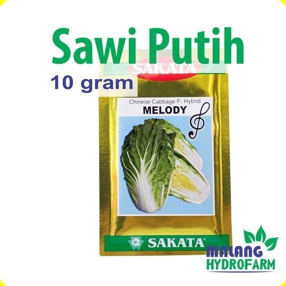 Benih Sawi Putih Melody 10 gram Sakata dataran rendah menengah tinggi bibit biji sayuran sayur