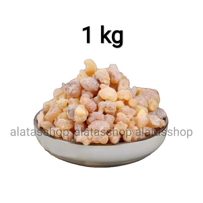 luban mustaqi arab 1kg kemenyan arab frankincense
