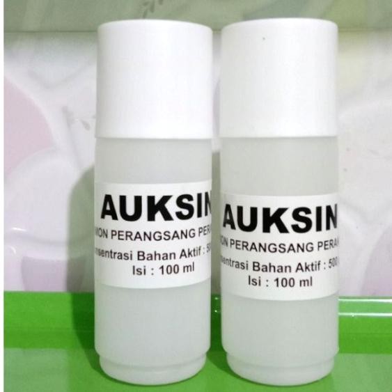 Hormon Tanaman Auksin