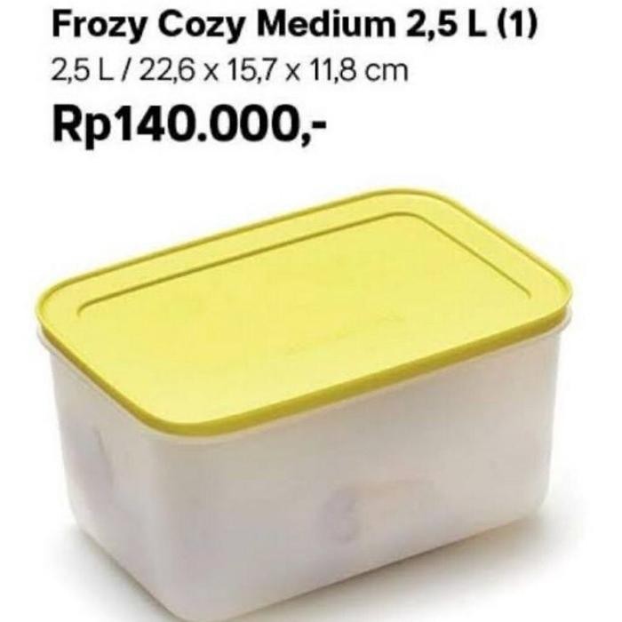 Tupperware medium freezermate wadah / kotak ikan daging freezer