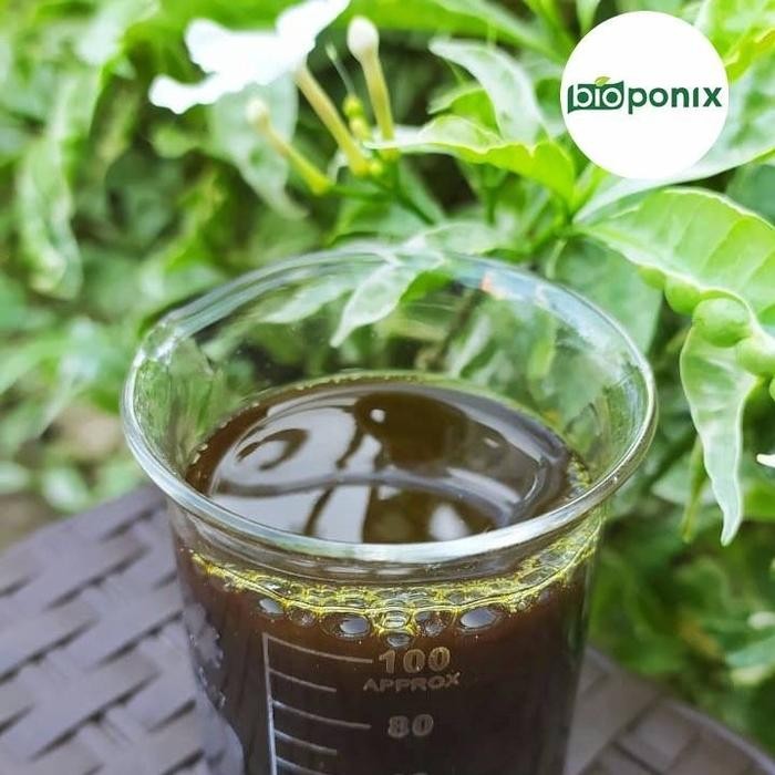 Neem Oil Konsentrat - Pestisida Organik / Minyak Mimba Insektisida 1L