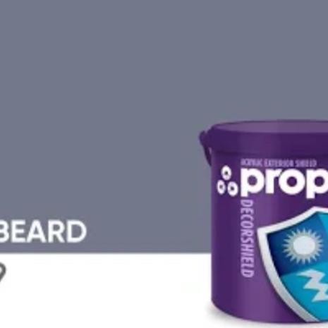 PROPAN DECORSHIELD 2.5 LT 2.5LT EXTERIOR CAT DINDING EKSTERIOR 2.5LTR 5KG 5 KG CAT PROPAN