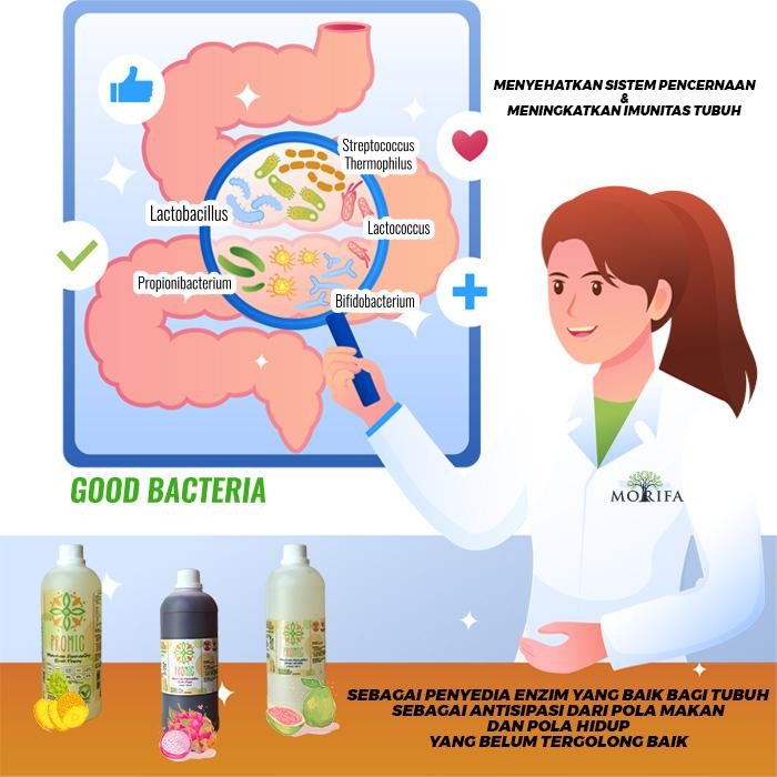 TOP" PROMIC PROBIOTIC MICROBS/BIANG/STARTER 1 LITER