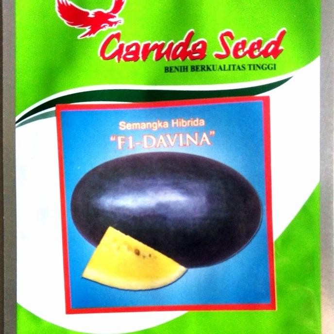 Benih Semangka Inul Kuning Davina 10 Gr Bibit Semangka Inul Kuning