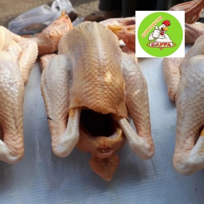 

(Expert) Ayam Kampung Fresh Medium( super)850 gr - 950 gr