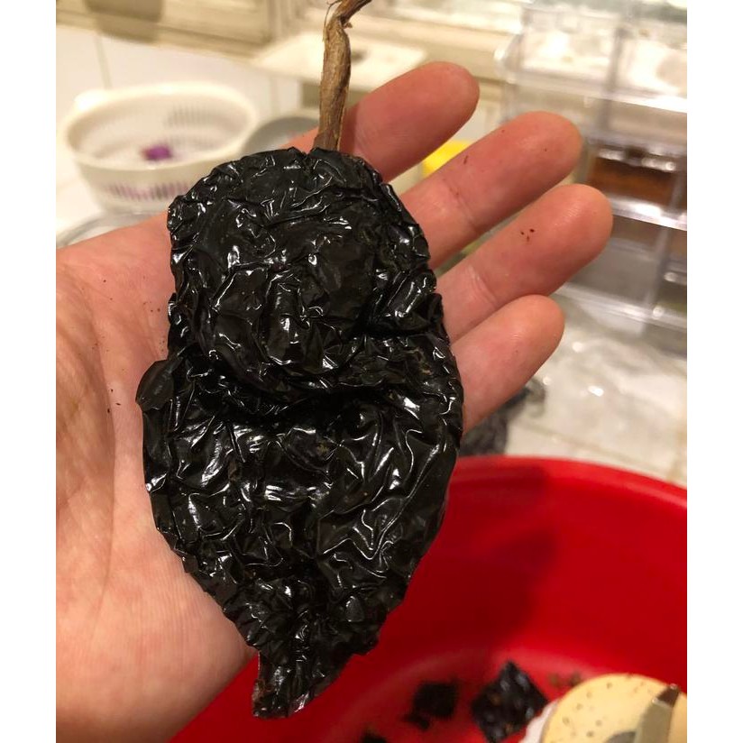 

PROMO SPECIAL Dried Ancho Chile, 8-10 grams (0.5-1 pcs) Grown in Mexico Kode 980