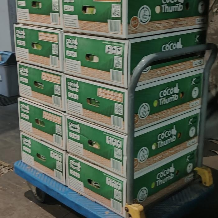 

Glx Kelapa Coco Thumb Thailand isi 12pcs