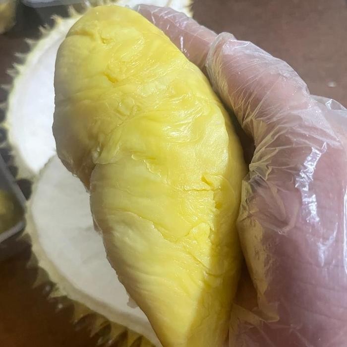 

Glx Duren montong palu parigi 1 box berat 500gram