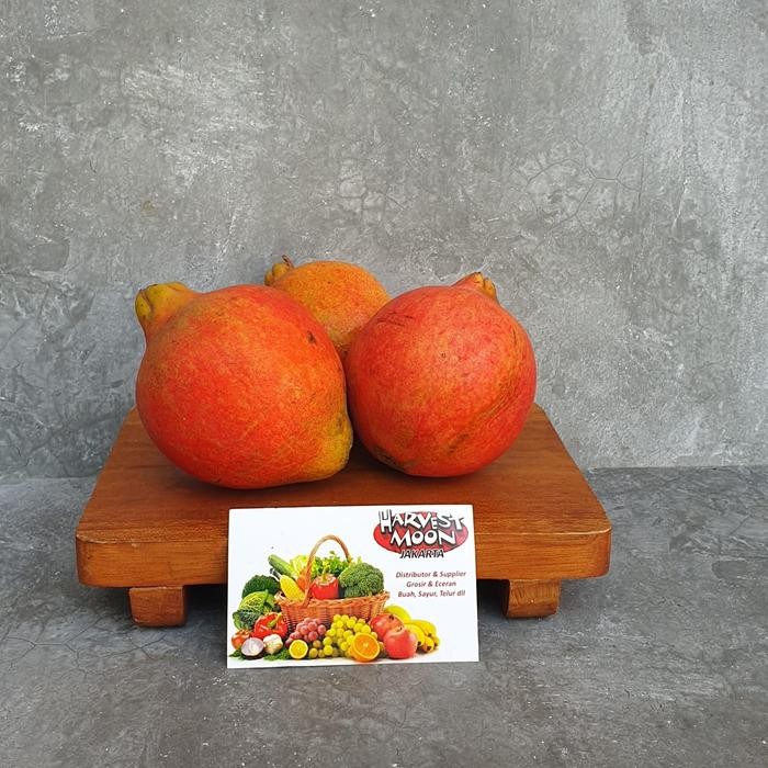 

Glx HarvestMoon Delima Pomegranate Per Pcs