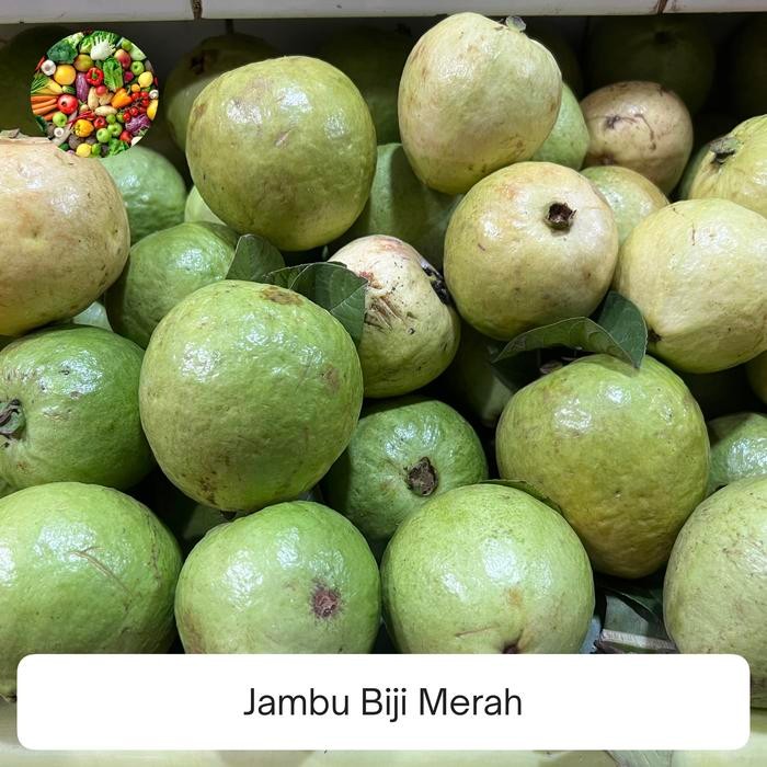 

Glx Jambu Biji Merah Besar / Guava - 1 Kg