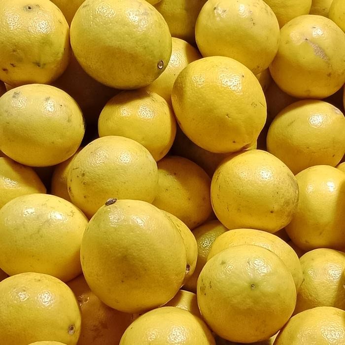 

Glx JERUK LEMON CALIFORNIA FRESH