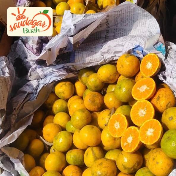 

Glx BUAH JERUK PERES MEDAN BERASTAGI MANIS