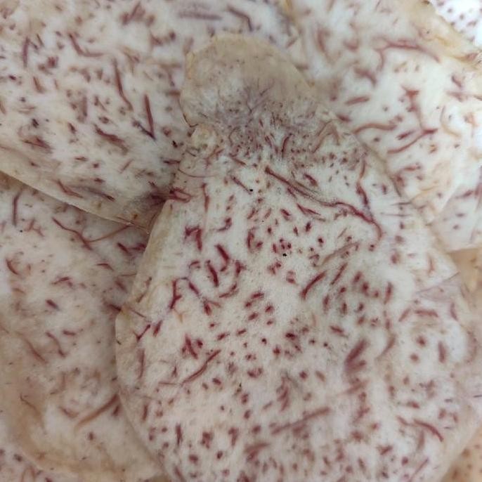 

ASLI BERKUALITAS Keripik Gayam, Bentol, Sukun, Talas, Pisang Khas ra Celan/Makanan Ringan/Snack Enak