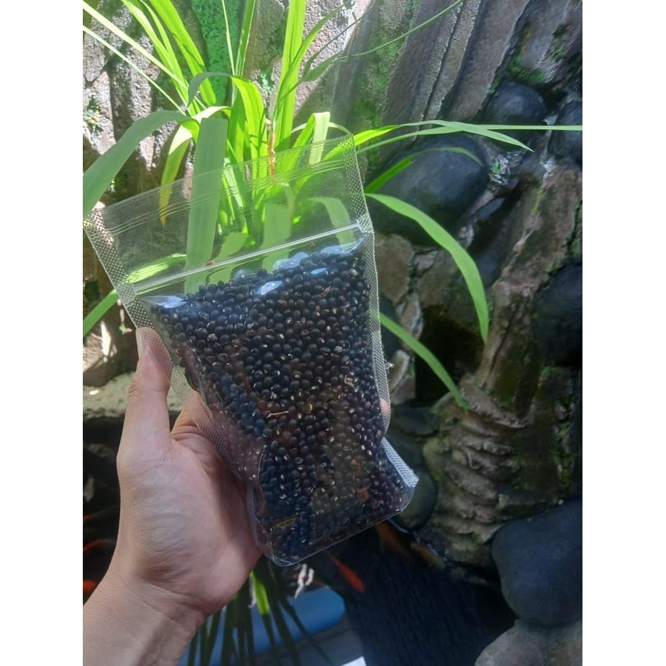 

SIAPKIRIM Gude makanan khas Wonogiri berat 500gr READY STOCK