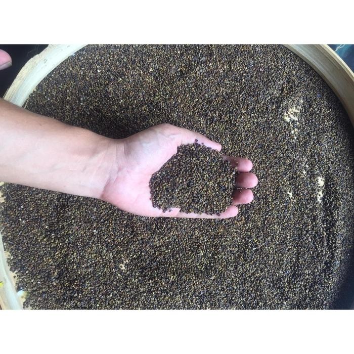 Indigofera kualitas super 1 kg