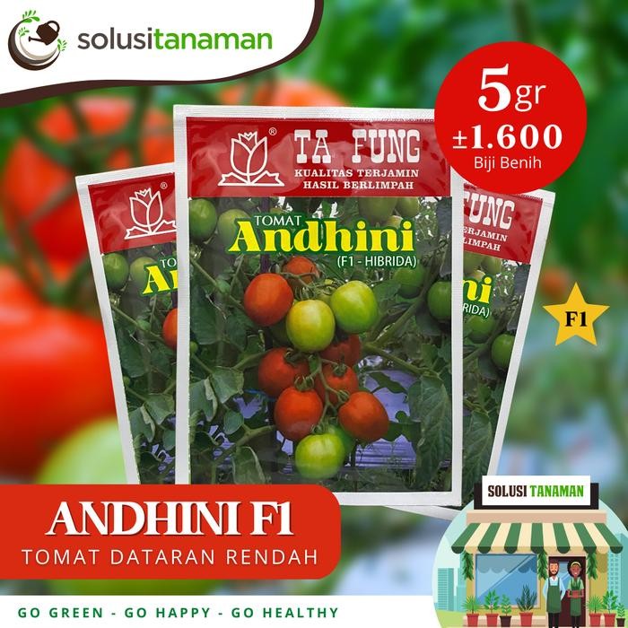 Benih Tomat Andhini F1 5gr Dataran Rendah Menengah Biji Bibit Benih Kebun Tanaman Sayur Sayuran Buah