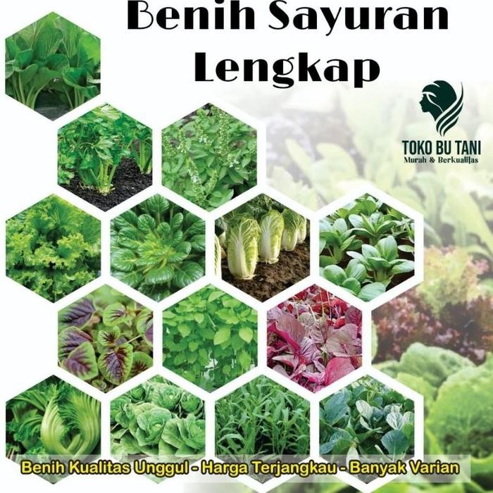 Bibit Sayuran Benih Sayur Paket Lengkap Tanaman Hidroponik Kangkung