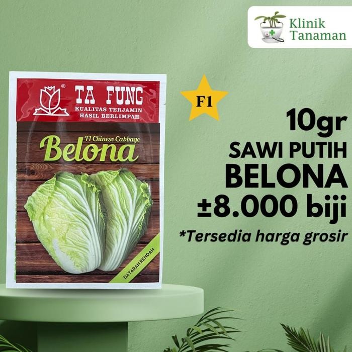 (-) Benih Sawi Putih Belona Chinese Cabbage F1 10gr (8.000 Biji) Bibit Sawi Putih Belona Benih Sawi