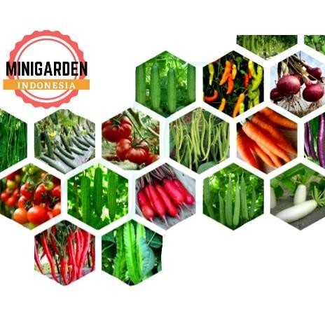 BIBIT SAYURAN SERIBUAN benih sayur tanaman hidroponik kangkung bayam