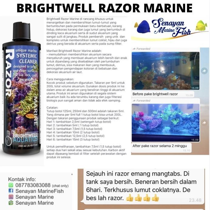 Merri.Mart1 Brightwell Razor 250Ml (Pembersih Akuarium Laut)
