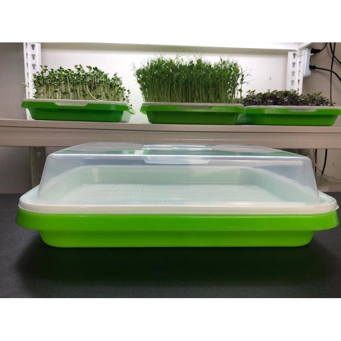 Tutup Tray Microgreen (Tidak Termasuk Tray)