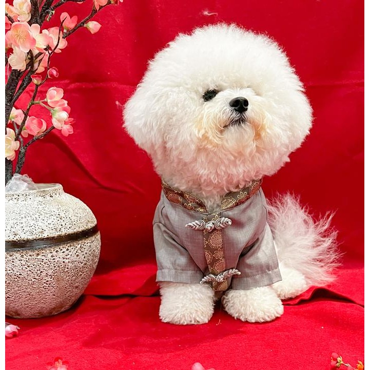 BAJU ANJING CHEONGSAM IMLEK JANTAN GREY PREMIUM