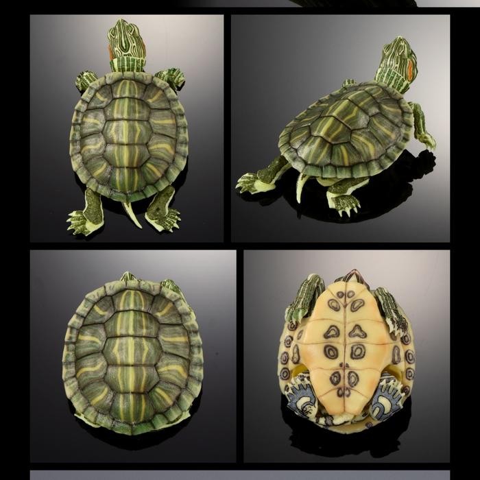 premium ikimono figure Turtle 01 bandai gashapon capsule toy kura brazil res - brazil light cerah