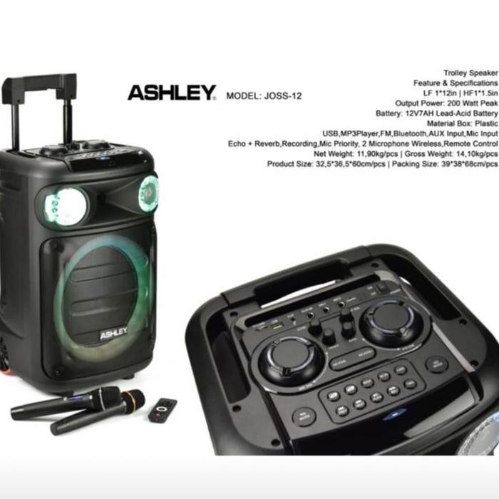Speaker Portable Amplifier Wireless Ashley JOSS12 - 12 inch *