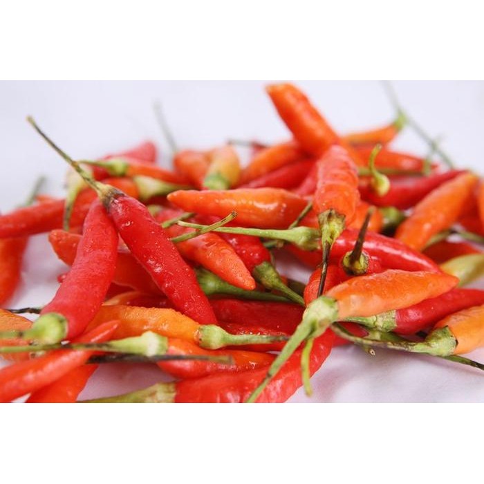 

Cabe Rawit Merah - 250 gram