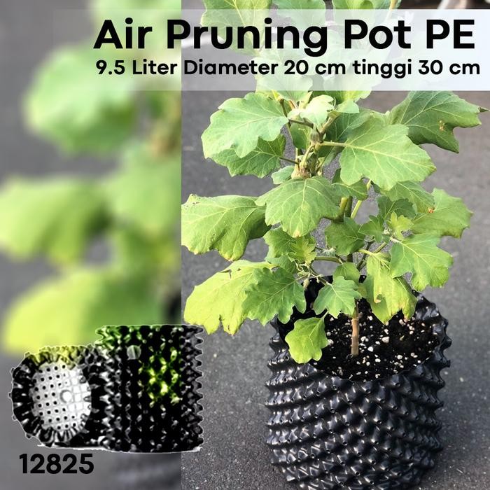 Air Pot / Air Pruning pot sistem / Pot Pruning PE 9.5 Liter dim 20 cm Plastik
