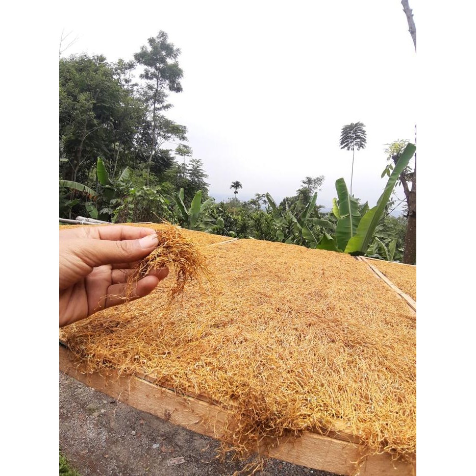 

TERMURAH Daun beneng kering kualitas grade A rajangan halus 1 kg READY STOCK