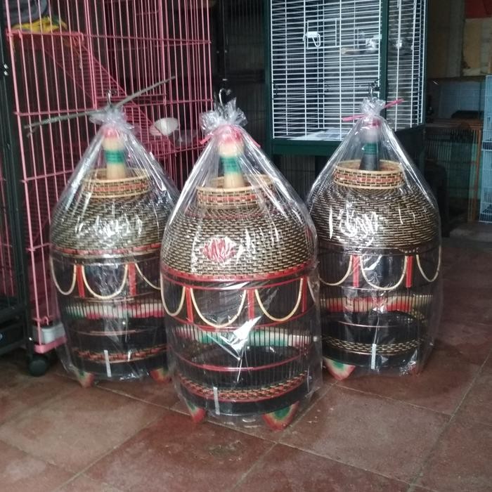 Kandang burung perkutut rotan